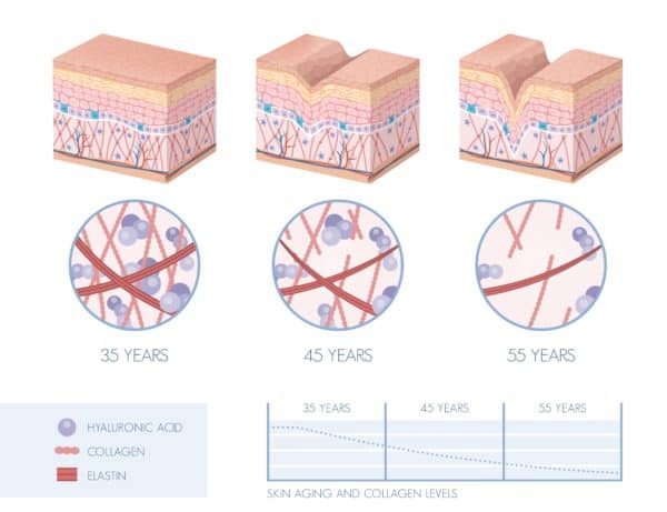 Wat is Collageen? En welke is de beste? - Viscollageen Blog